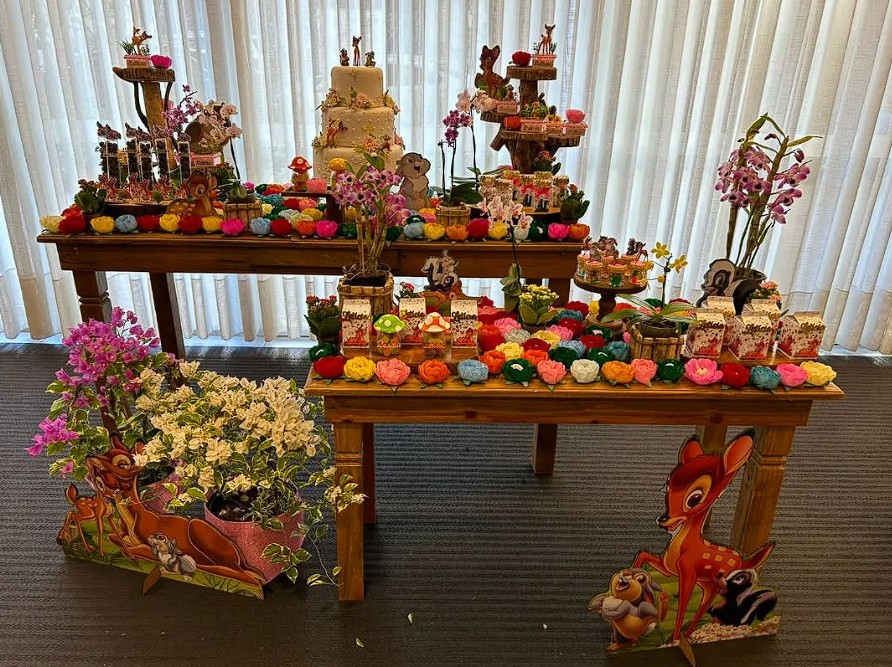 Festa personalizada Ale Festas